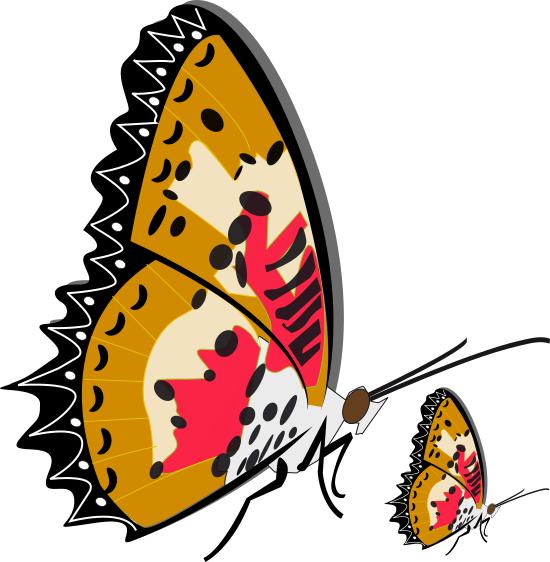 550x562 Papillon Clipart