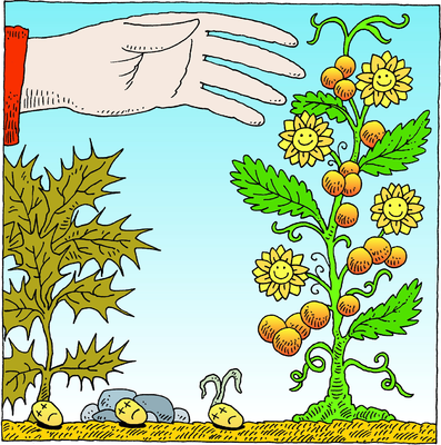 397x400 Image Seed Parable