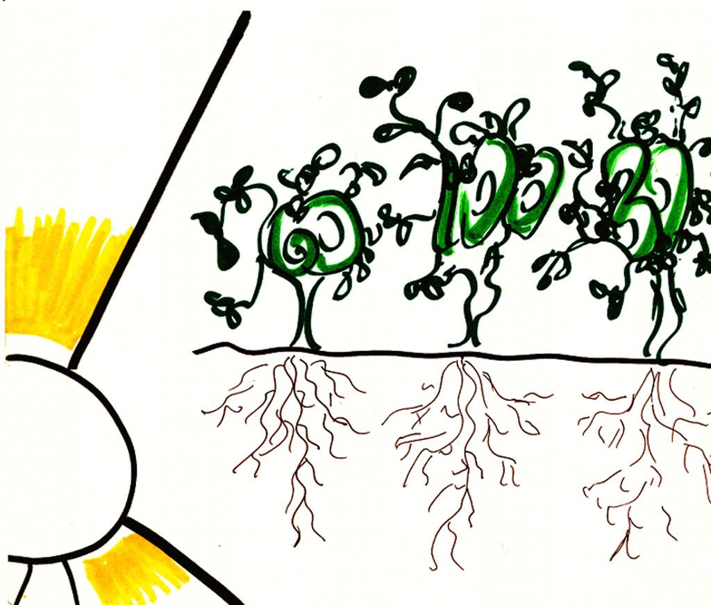 1024x872 Fruitful Soil Sunday School Activities Flipping