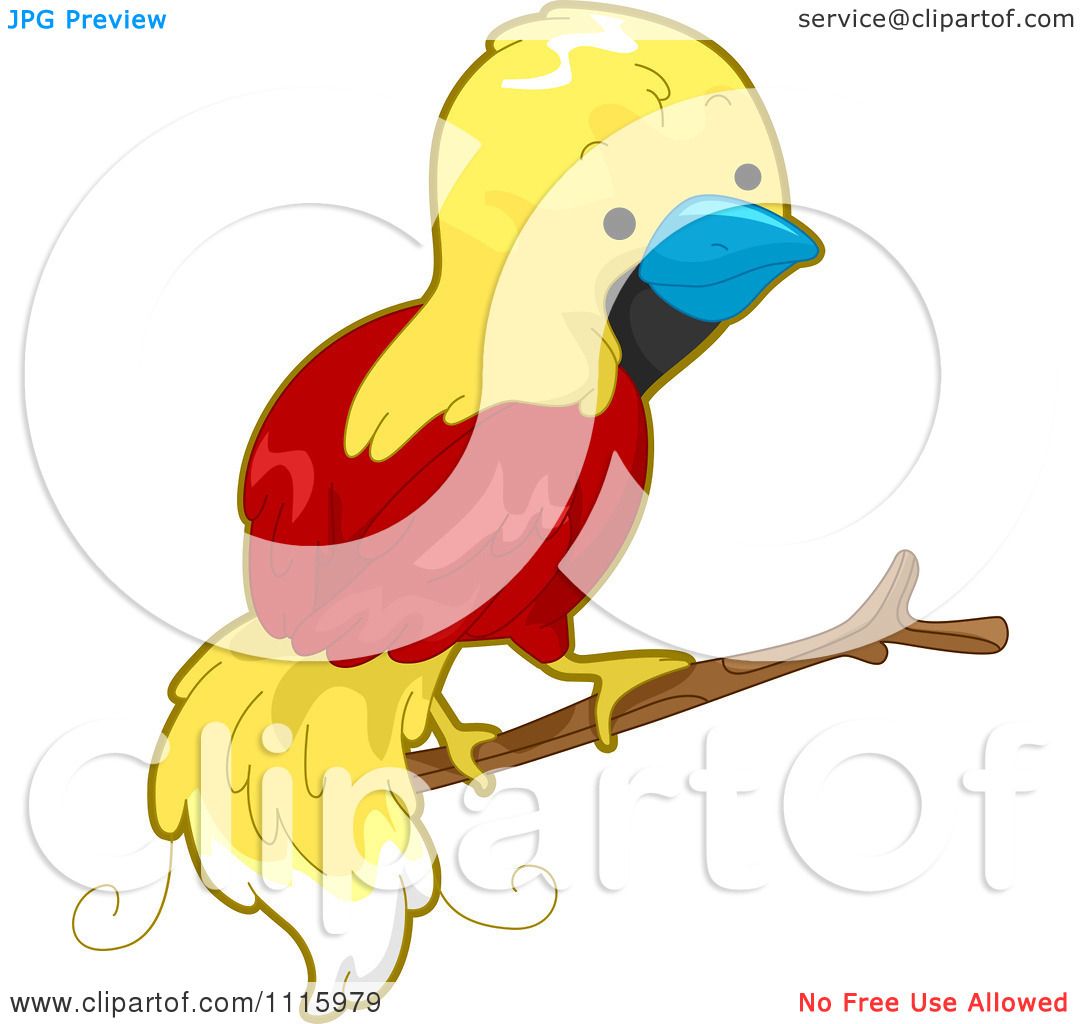 1080x1024 Clipart Cute Bird Of Paradise On A Branch