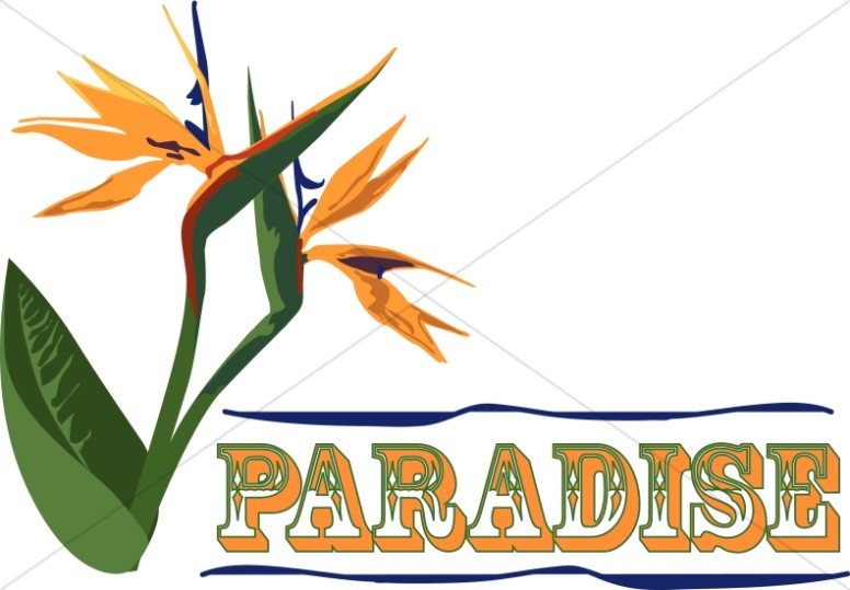 776x539 Paradise Clipart Adam And Eve Clipart