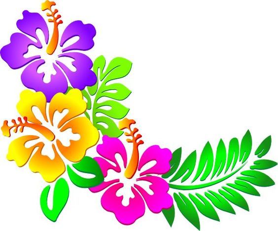 564x469 Playas Tropicales, Clipart And Fronteras De La Flor