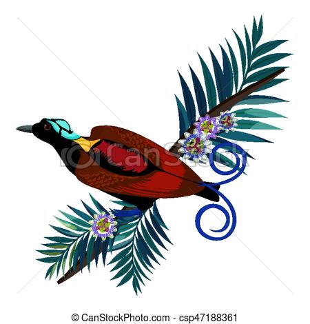 450x470 Wilson S Bird Of Paradise In Brown Color Isolated On Branch