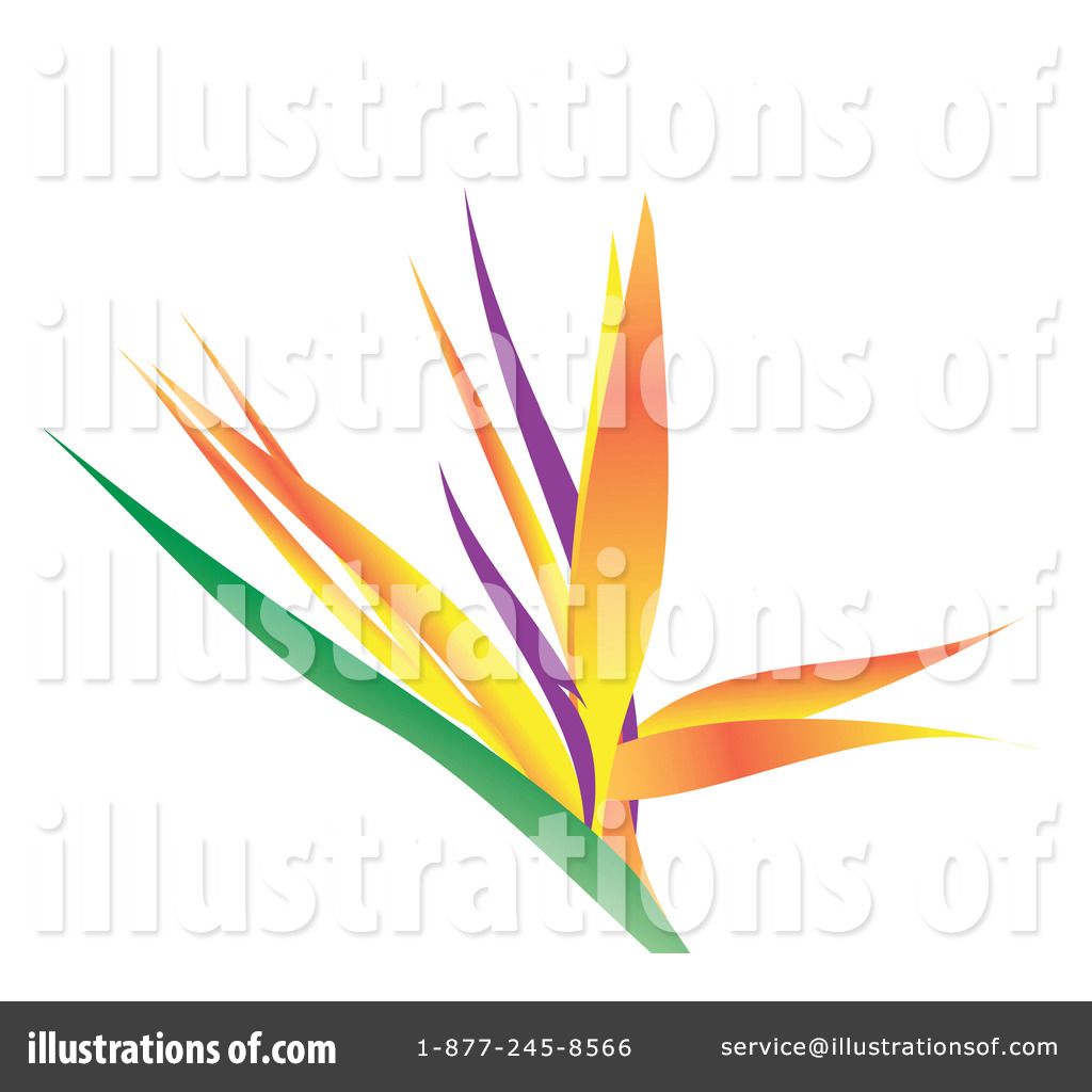 1024x1024 Bird Of Paradise Clipart