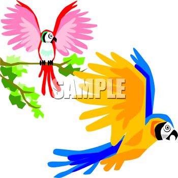 350x349 Colorful Parrots Or Macaws In Flight