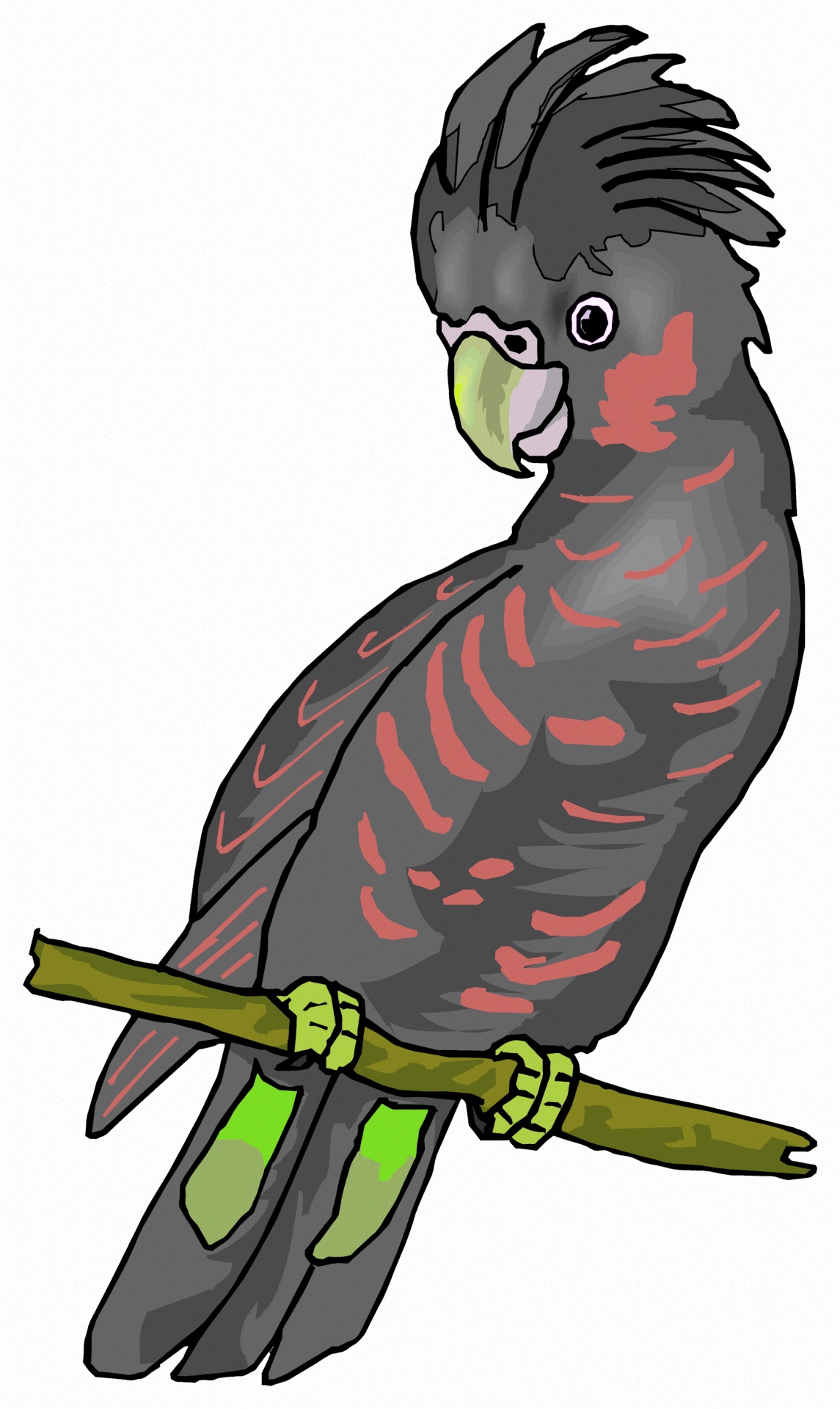 1145x1920 Cute Parakeets Cliparts