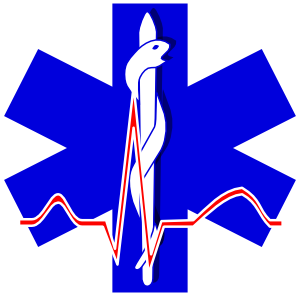 300x296 Paramedic Cross Clip Art