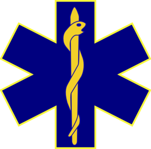 298x294 Paramedic Logo