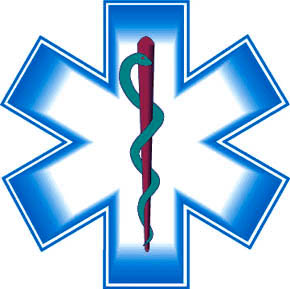 290x289 Star Of Life Clip Art Clipart Panda