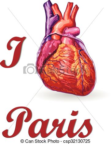 362x470 I Love Paris Human Heart Vector No Trace Vector Illustration