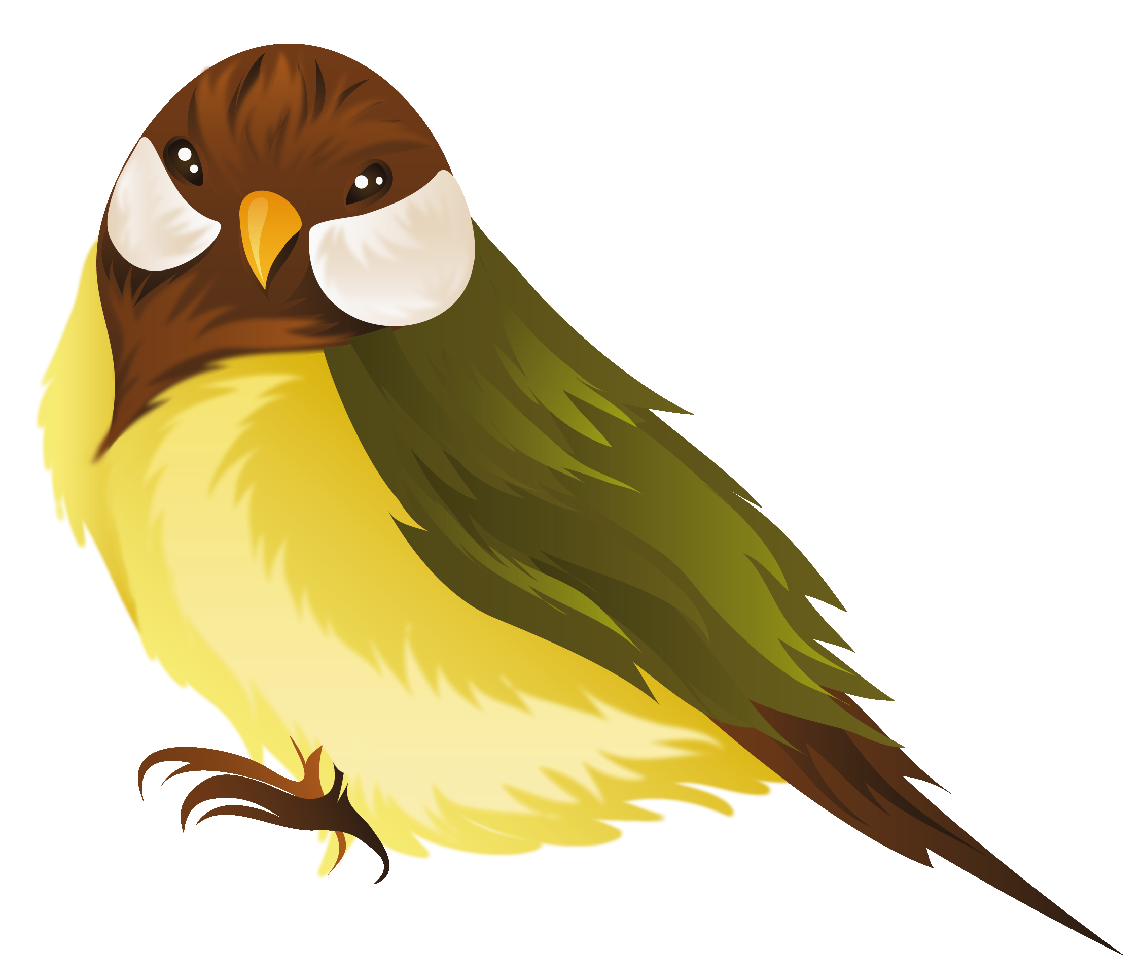 2252x1931 Clip Art Clip Art Of Bird