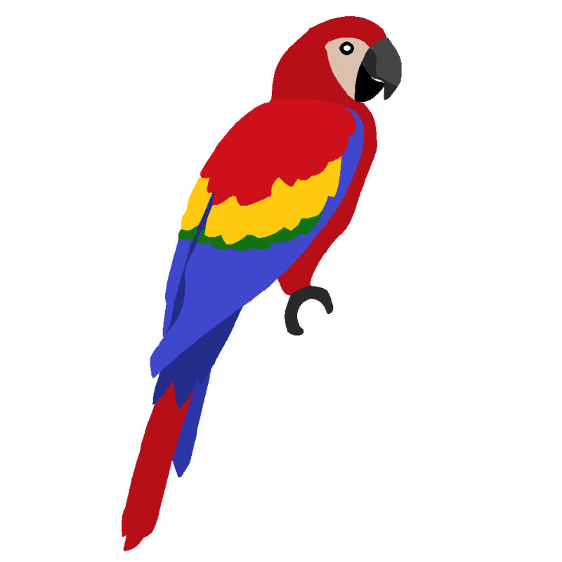 800x800 Parrot Clipart The Top 5 Best Blogs On Green Parrot Clip Art