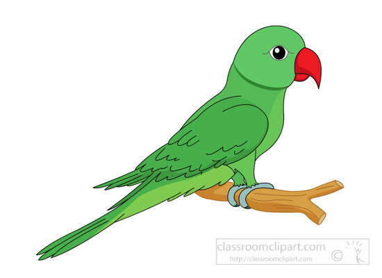 550x400 Free Parrot Clipart