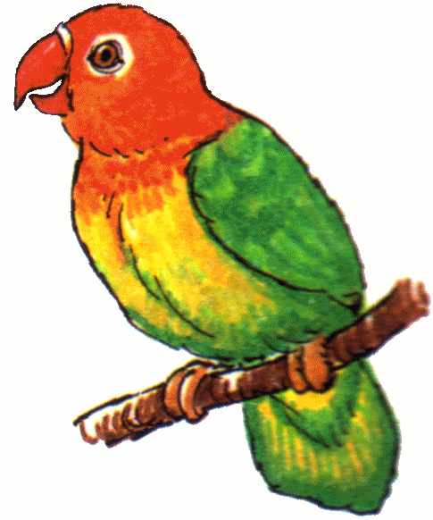 485x582 Parrot Clip Art Clipart Panda