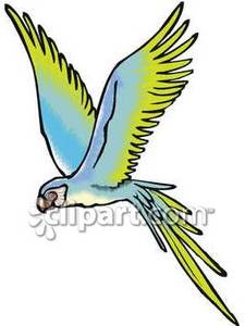 225x300 Parrot Clipart Fly