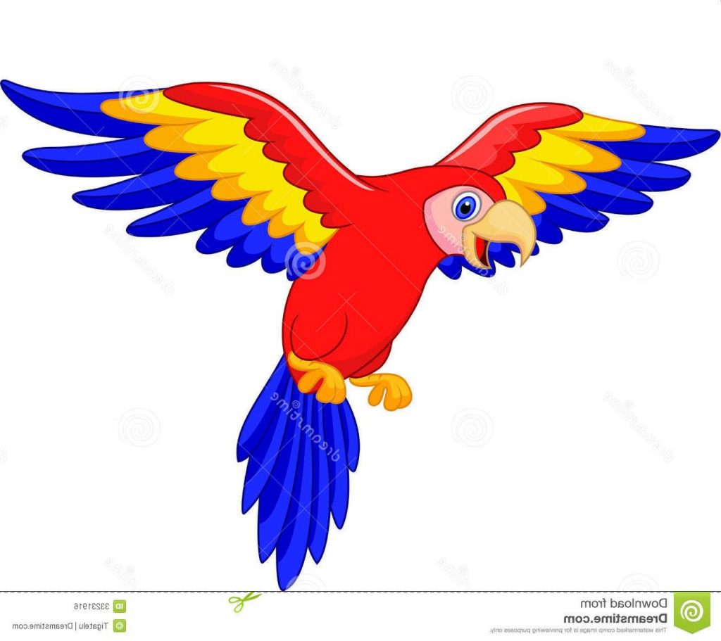 1024x911 Top Cute Parrot Clipart Bird Cartoon Illustration Design