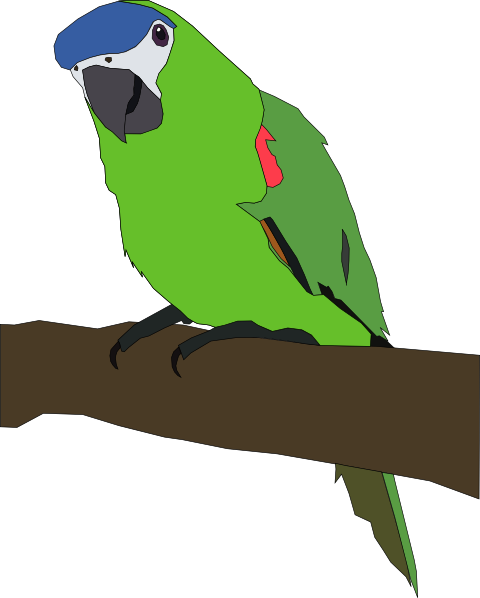 480x598 Clip Art Parrots Clipart Panda
