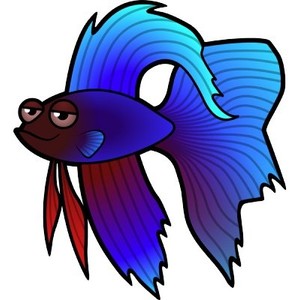 300x300 Betta Clipart Pencil And In Color Fish Clip Art