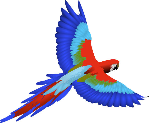 600x493 Wonderful Ideas Parrot Clipart Clip Art At Clker Com Vector Online
