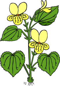 207x297 Floral Plant With Green Leaves Clip Art