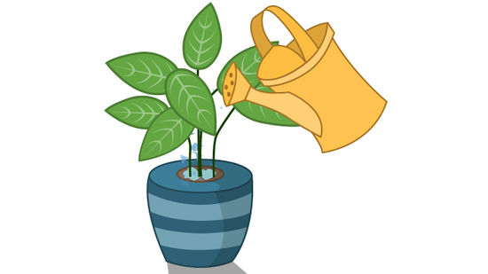 550x309 How To Grow Healthy Plants 10 Steps (With Pictures)