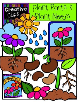 270x350 Plant Parts And Needs {Creative Clips Digital Clipart} Tpt
