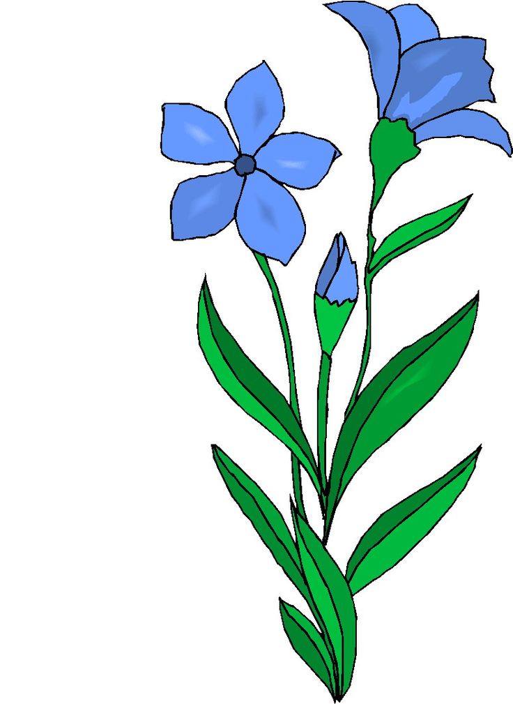 736x1009 69 Best Easy Drawings Images On Drawing Flowers