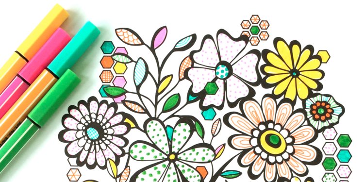 750x375 Artist Cashes In On Adult Coloring Book Craze