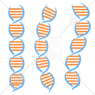 400x400 Dna Structure Clipart Clip Art