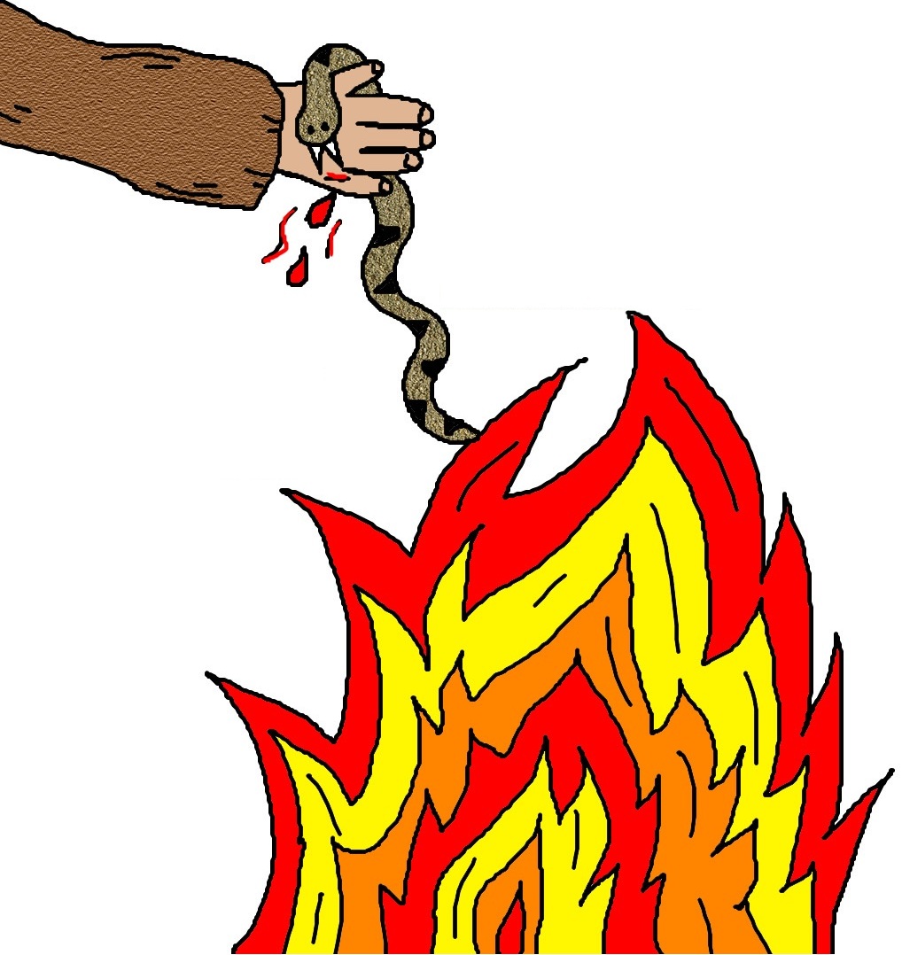 1018x1078 Snake Biting Cliparts