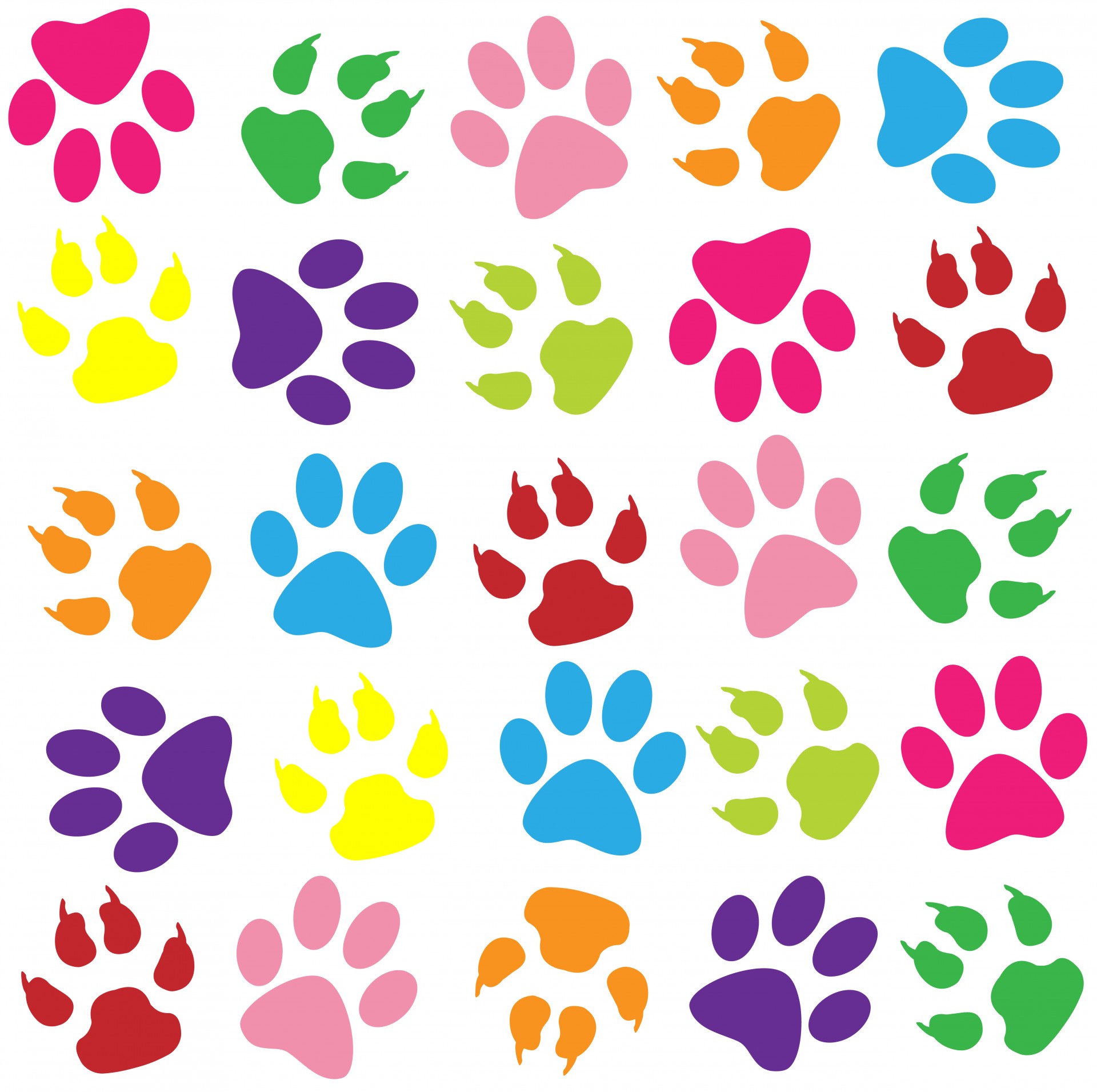 1920x1911 Animal Paw Prints Pictures