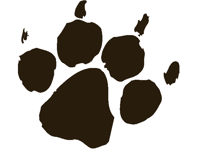 640x480 Lion Paw Print Clip Art This Your Index Html Page