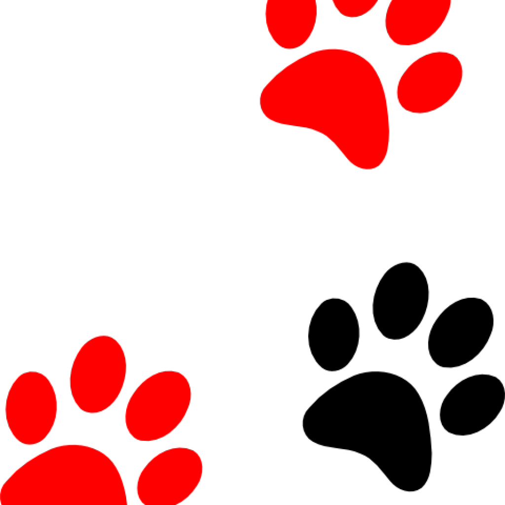 1024x1024 Paw Print Clip Art Camping Clipart