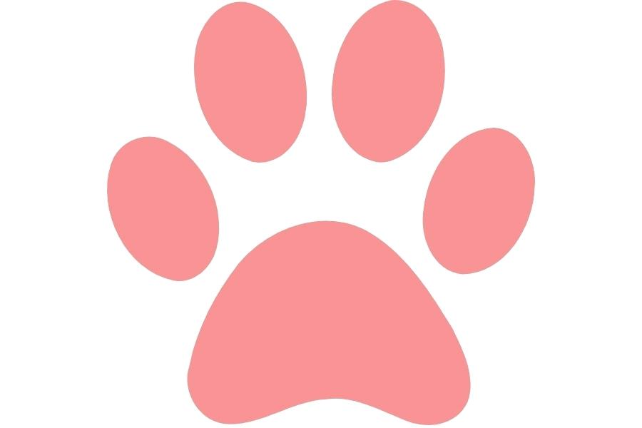 900x600 Print Clip Art Dog Paw Print Drawing Craft Sites For Kids Cat Paw