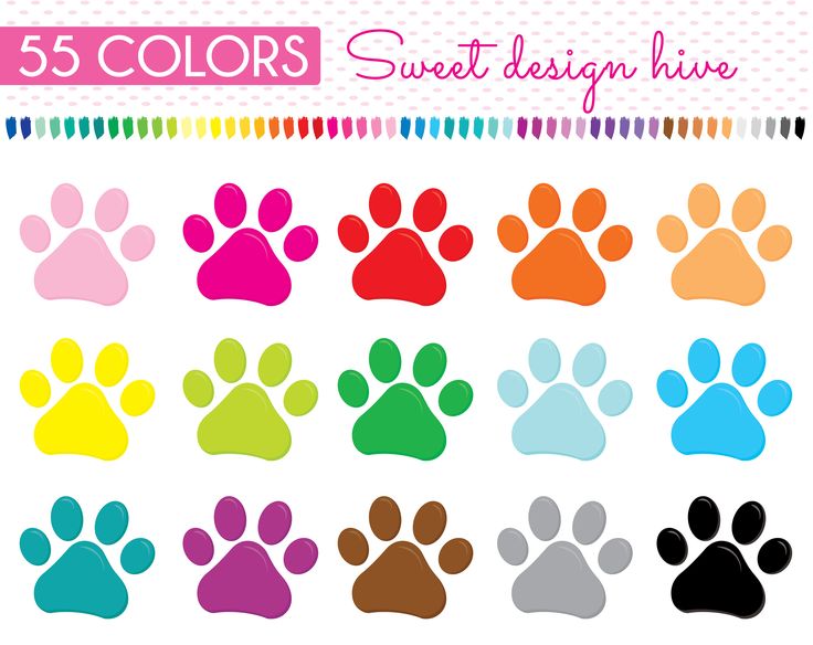 736x584 81 Best Planner Clipart Stickers Images