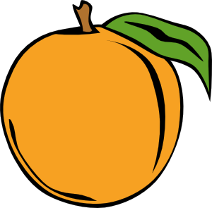 300x295 Peach Clip Art Free Vector 4vector