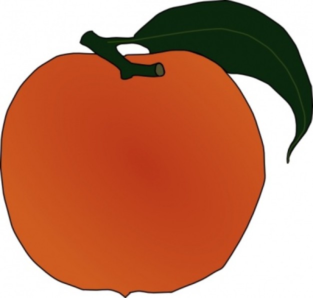 626x595 Peach Clipart Peachclipart Fruit Clip Art Photo 2