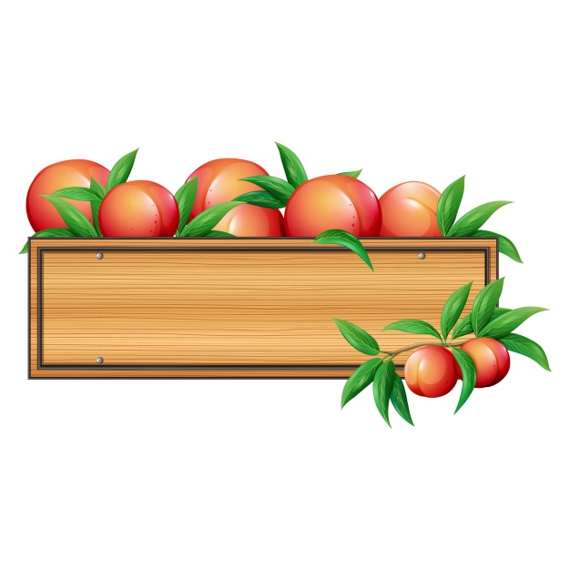 626x626 Outline Of Peaches Clipart