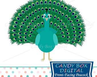 340x270 Peacock Clipart Bird Or Animal Clip Art Commercial Use Ok