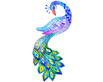340x270 Collection Of Design Clipart Peacock High Quality, Free