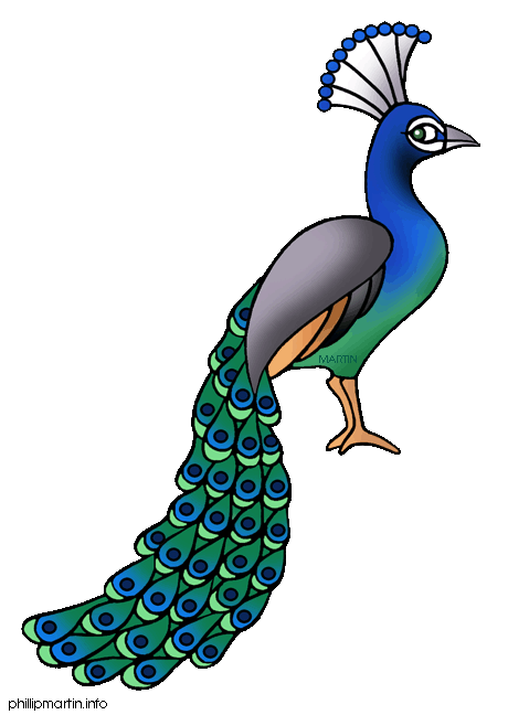 460x648 Peacock Clipart Free