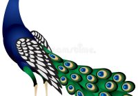 200x140 Peacock Clipart Peacock Clip Art