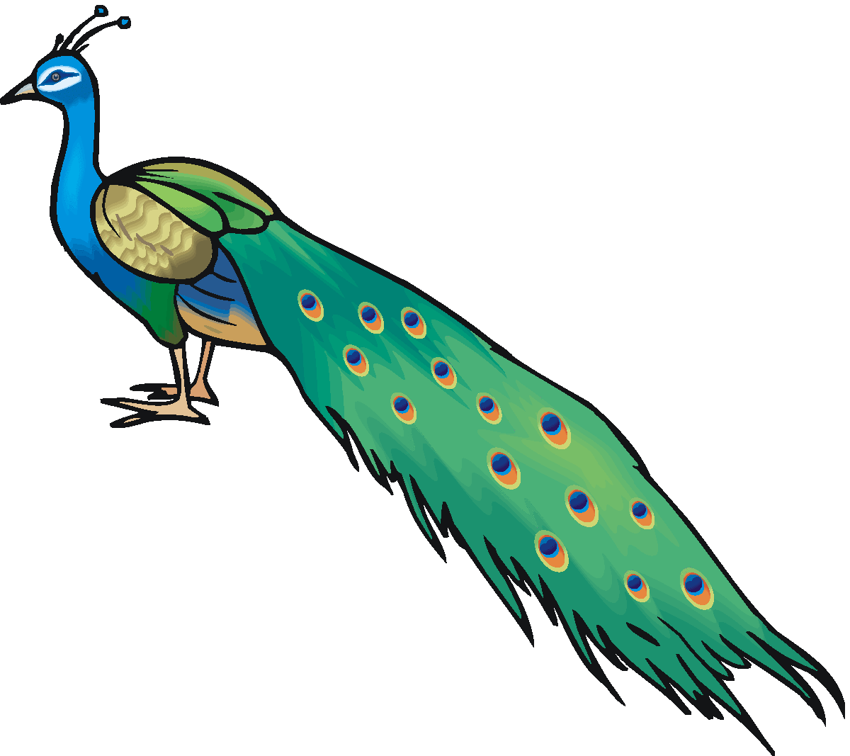 1200x1067 Peacock Clip Art Free Clipart Panda