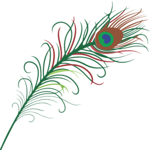 300x300 Peacock Feather Clip Art