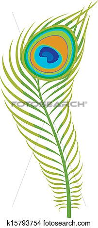 202x470 Peacock Feather Clipart Peacock Feathers, Peacocks And Clip Art