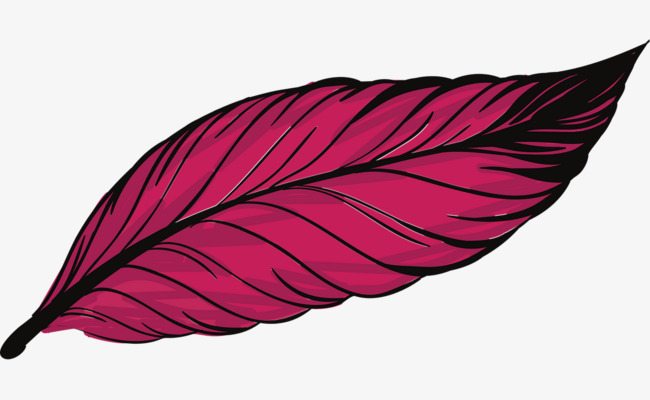 650x400 Beautiful Peacock Feathers, Feather, Bird, Animal Png Image