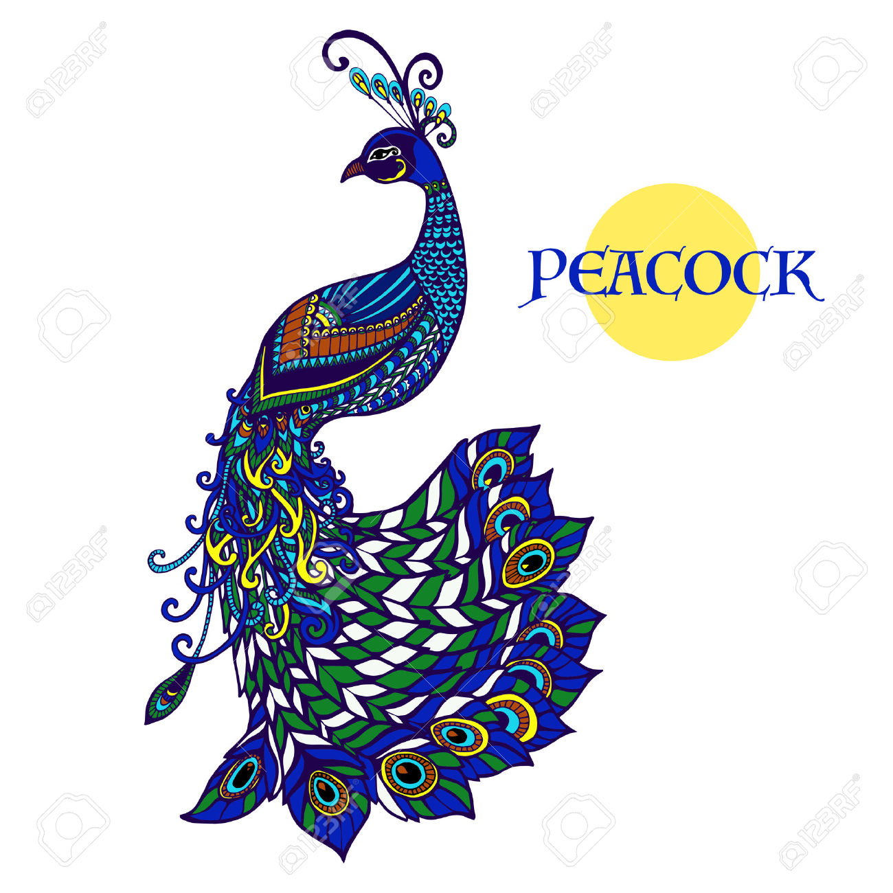 1300x1300 Exotic Peacock Clipart, Explore Pictures