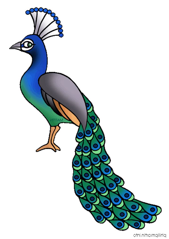 718x1012 Peacock Clip Art