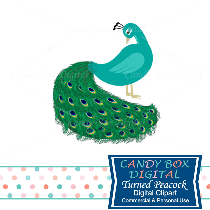 864x864 Peacock Clipart, Bird Or Animal Clip Art