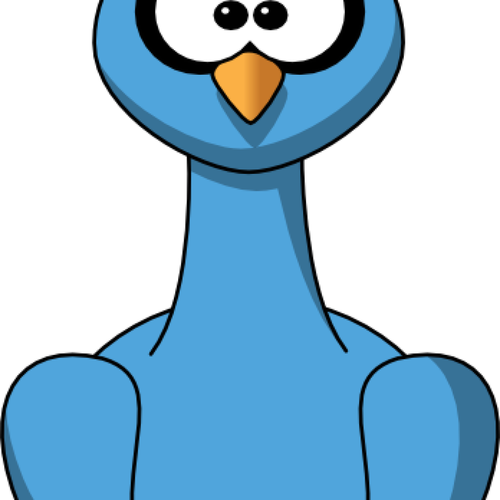 1024x1024 Peacock Clipart Turtle Clipart